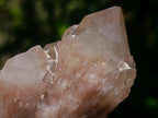 Natural Cascading White Phantom Smokey Luena Quartz Clusters x 12 From Luena, Congo