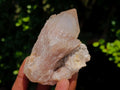 Natural Cascading White Phantom Smokey Luena Quartz Clusters x 12 From Luena, Congo