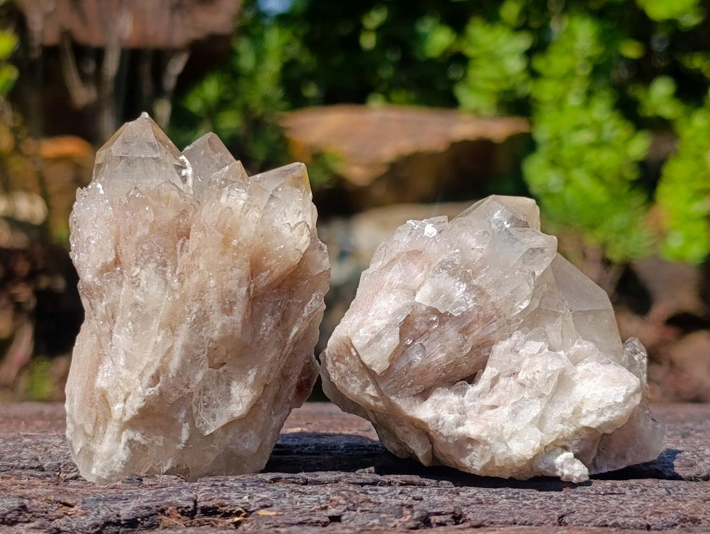 Natural Cascading White Phantom Smokey Luena Quartz Clusters x 12 From Luena, Congo