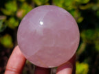 Polished Gemmy Rose Quartz Spheres x 6 From Madagascar