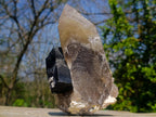 Natural Large Smokey Quartz Crystals with Schorl Black Tourmaline and Hyalite Opal x 2 From Erongo, Namibia