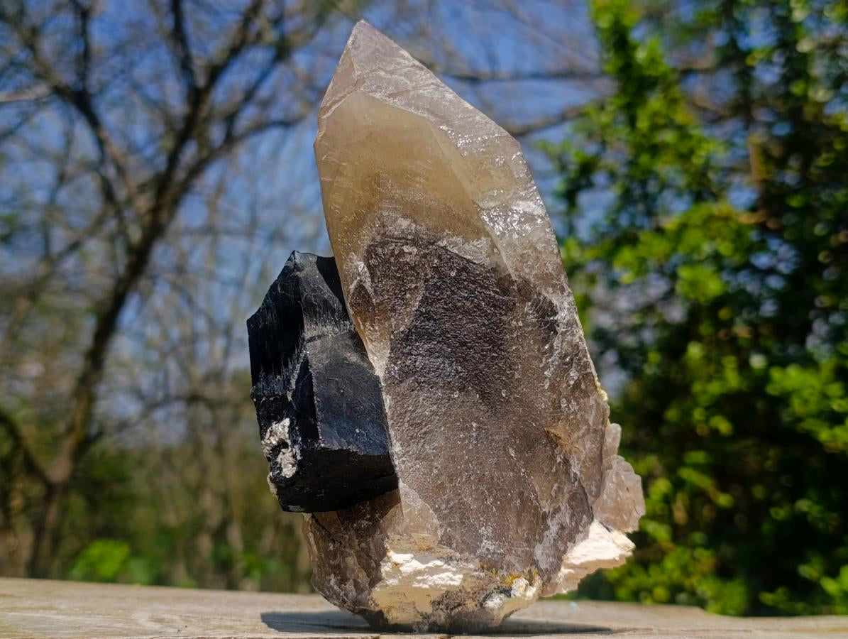 Natural Large Smokey Quartz Crystals with Schorl Black Tourmaline and Hyalite Opal x 2 From Erongo, Namibia