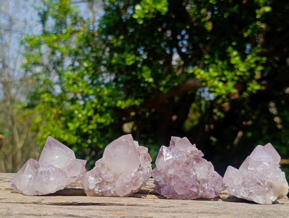 Natural Spirit Amethyst Clusters x 12 From Boekenhouthoek, South Africa