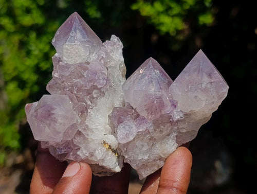 Natural Spirit Amethyst Clusters x 12 From Boekenhouthoek, South Africa