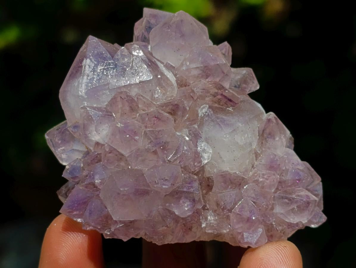 Natural Spirit Amethyst Clusters x 12 From Boekenhouthoek, South Africa