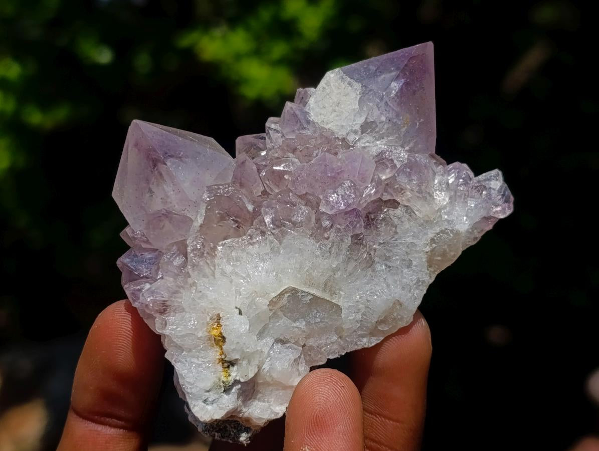 Natural Spirit Amethyst Clusters x 12 From Boekenhouthoek, South Africa