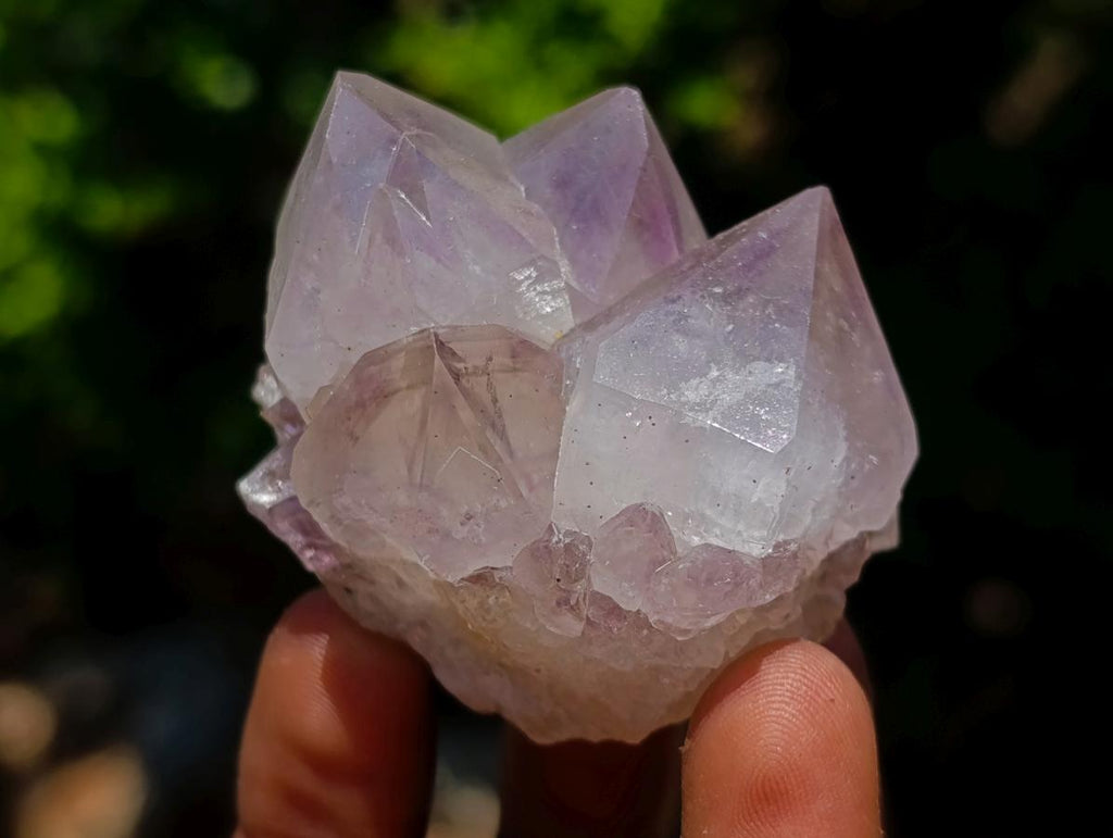 Natural Spirit Amethyst Clusters x 12 From Boekenhouthoek, South Africa