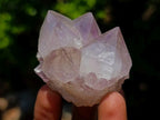Natural Spirit Amethyst Clusters x 12 From Boekenhouthoek, South Africa