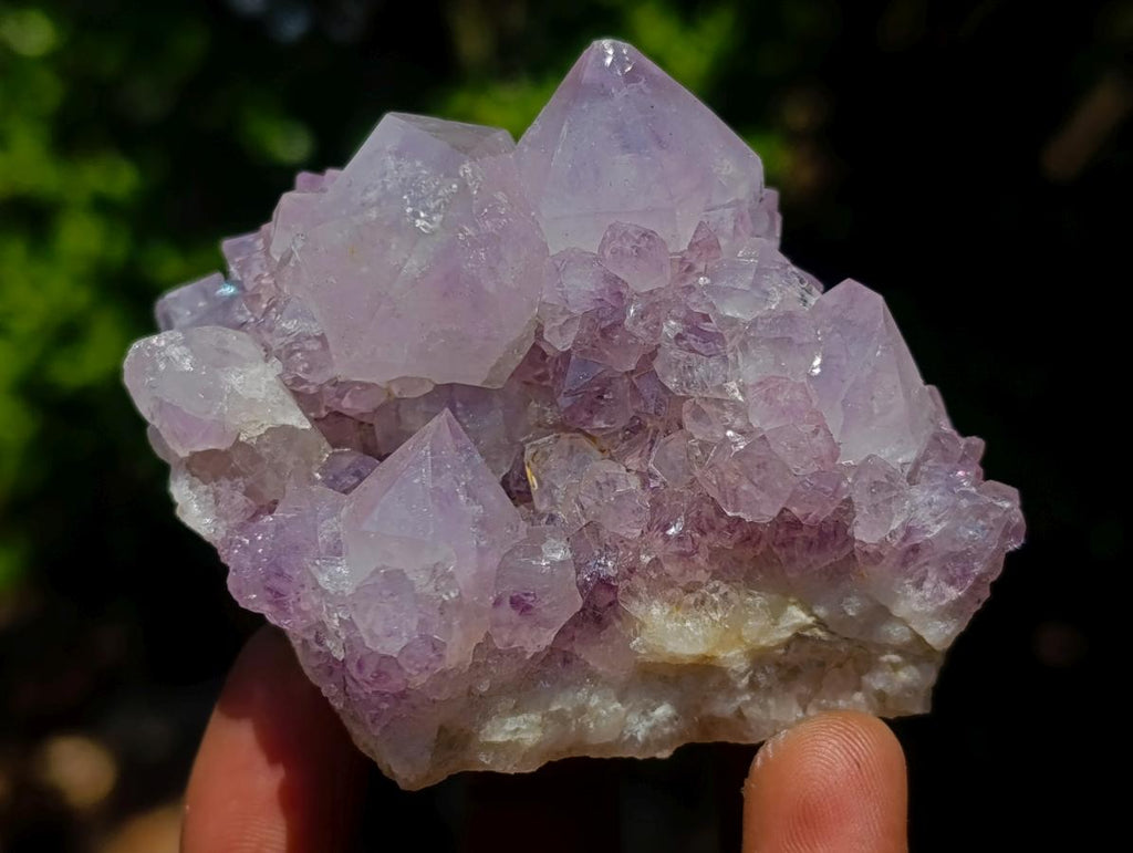 Natural Spirit Amethyst Clusters x 12 From Boekenhouthoek, South Africa