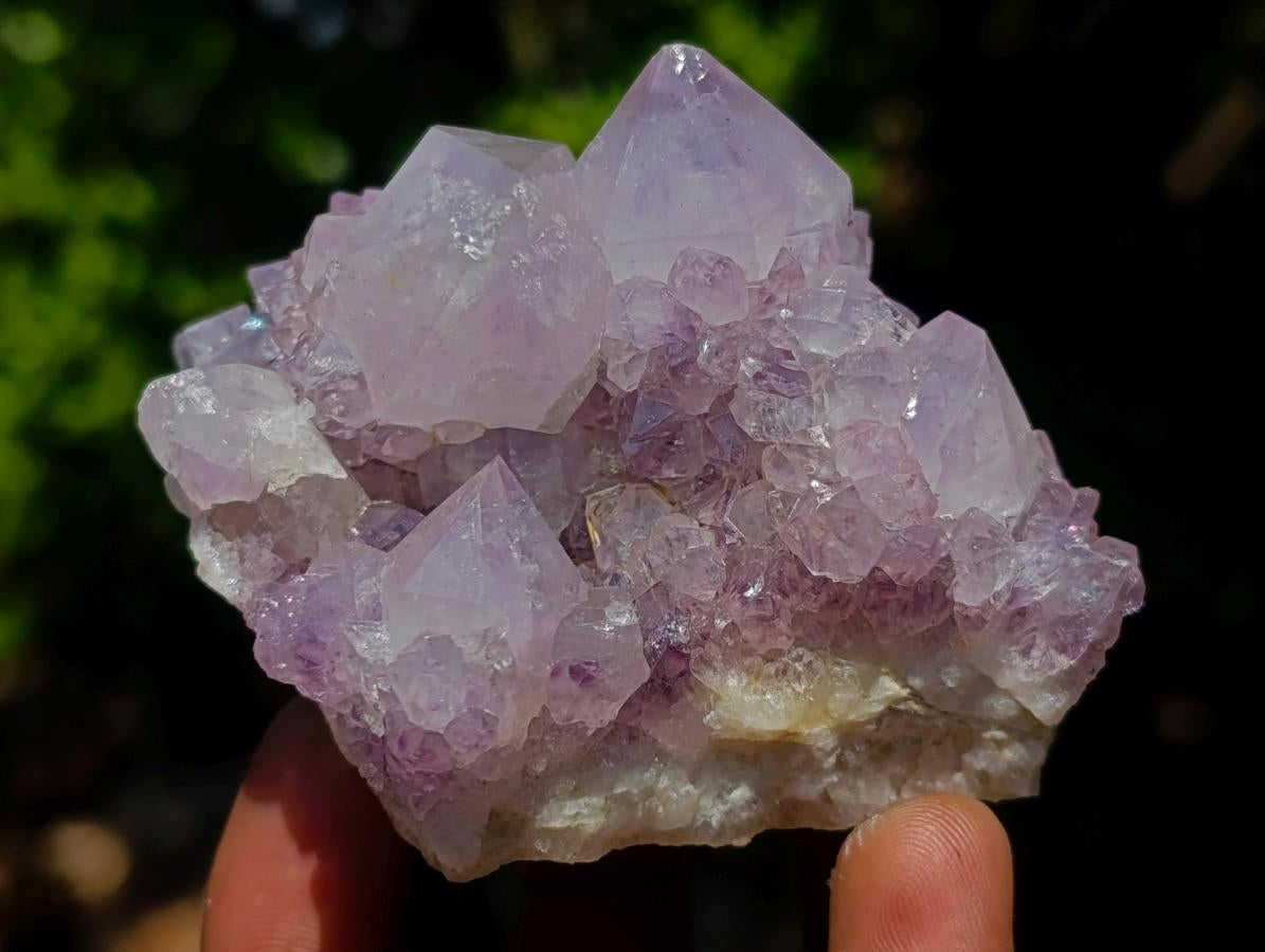 Natural Spirit Amethyst Clusters x 12 From Boekenhouthoek, South Africa