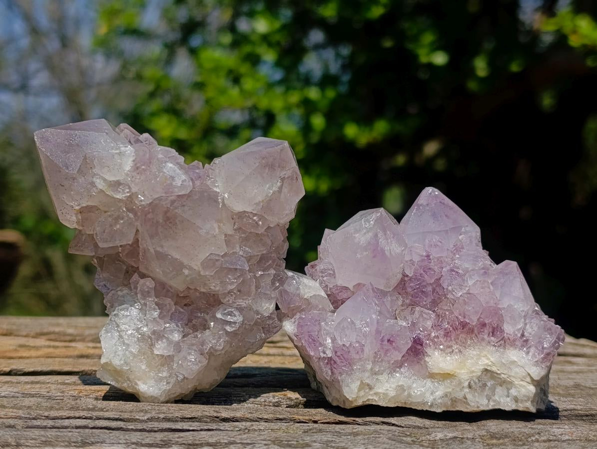 Natural Spirit Amethyst Clusters x 12 From Boekenhouthoek, South Africa