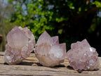 Natural Spirit Amethyst Clusters x 12 From Boekenhouthoek, South Africa