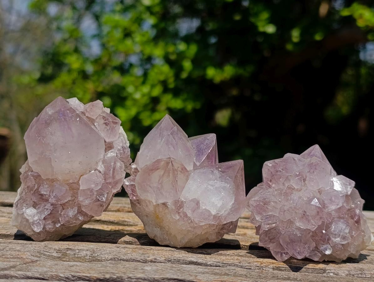 Natural Spirit Amethyst Clusters x 12 From Boekenhouthoek, South Africa