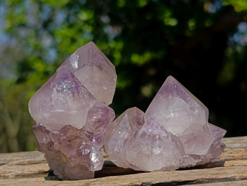 Natural Spirit Amethyst Clusters x 12 From Boekenhouthoek, South Africa
