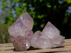 Natural Spirit Amethyst Clusters x 12 From Boekenhouthoek, South Africa