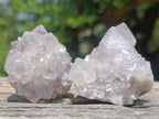 Natural Spirit Amethyst Clusters x 12 From Boekenhouthoek, South Africa
