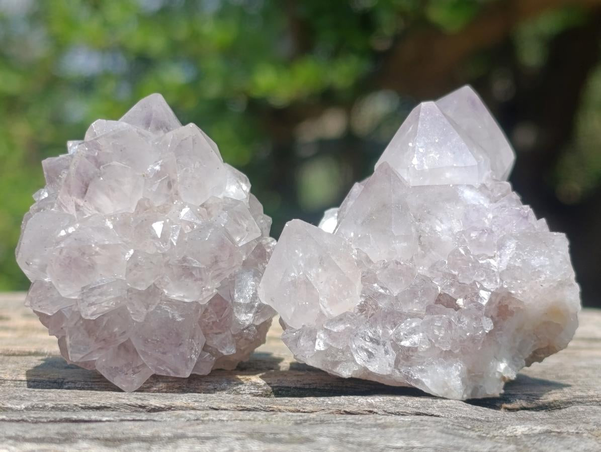 Natural Spirit Amethyst Clusters x 12 From Boekenhouthoek, South Africa