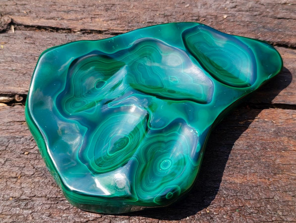 Polished and Natural Flower Banded Malachite Free Forms x 3 From Congo