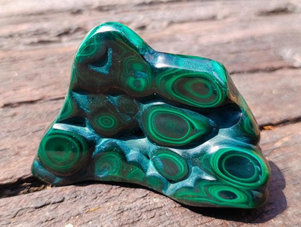 Polished and Natural Flower Banded Malachite Free Forms x 3 From Congo