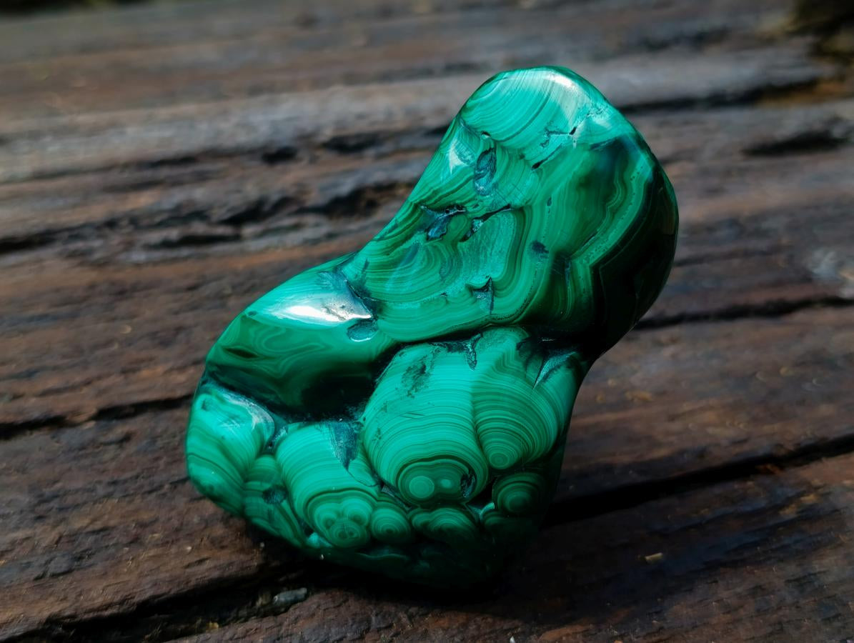 Polished and Natural Flower Banded Malachite Free Forms x 3 From Congo