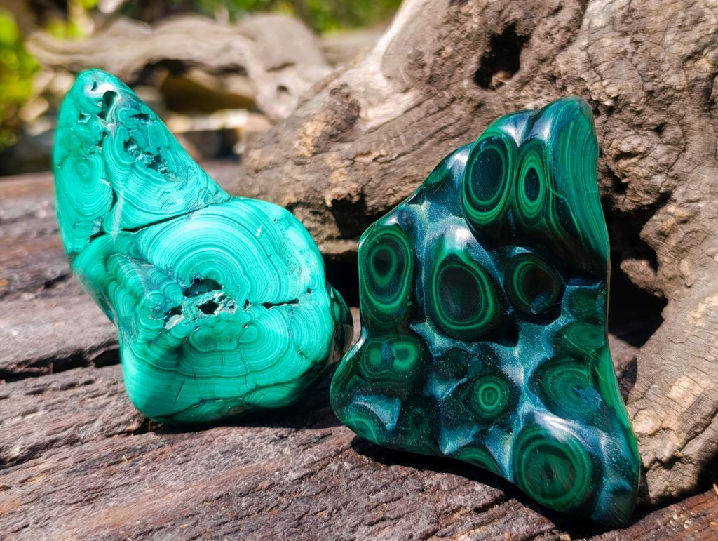 Polished and Natural Flower Banded Malachite Free Forms x 3 From Congo