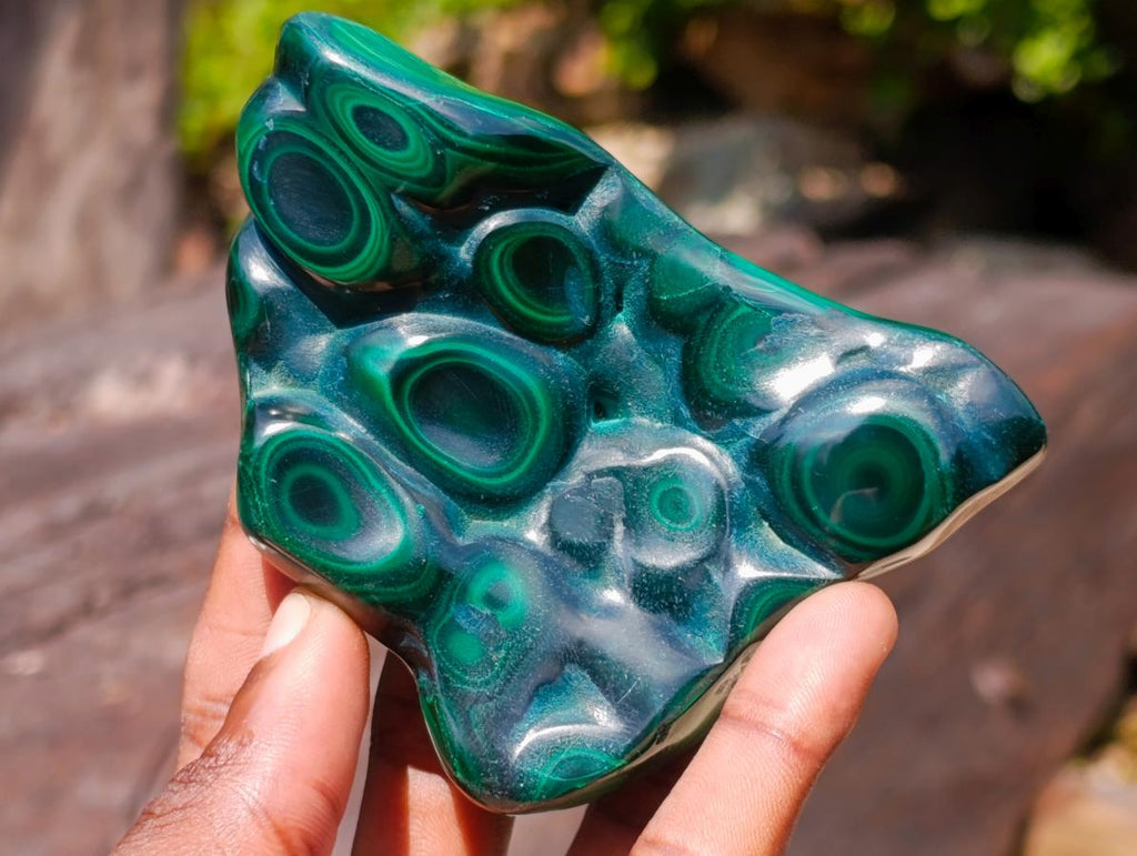 Polished and Natural Flower Banded Malachite Free Forms x 3 From Congo