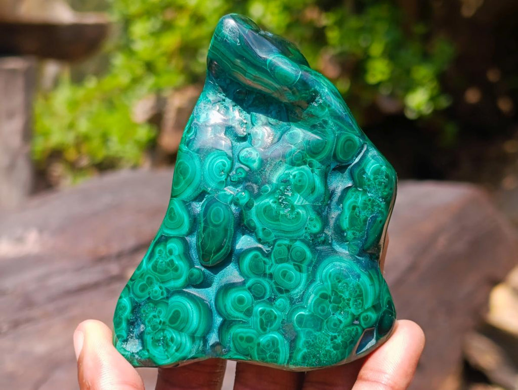 Polished and Natural Flower Banded Malachite Free Forms x 3 From Congo