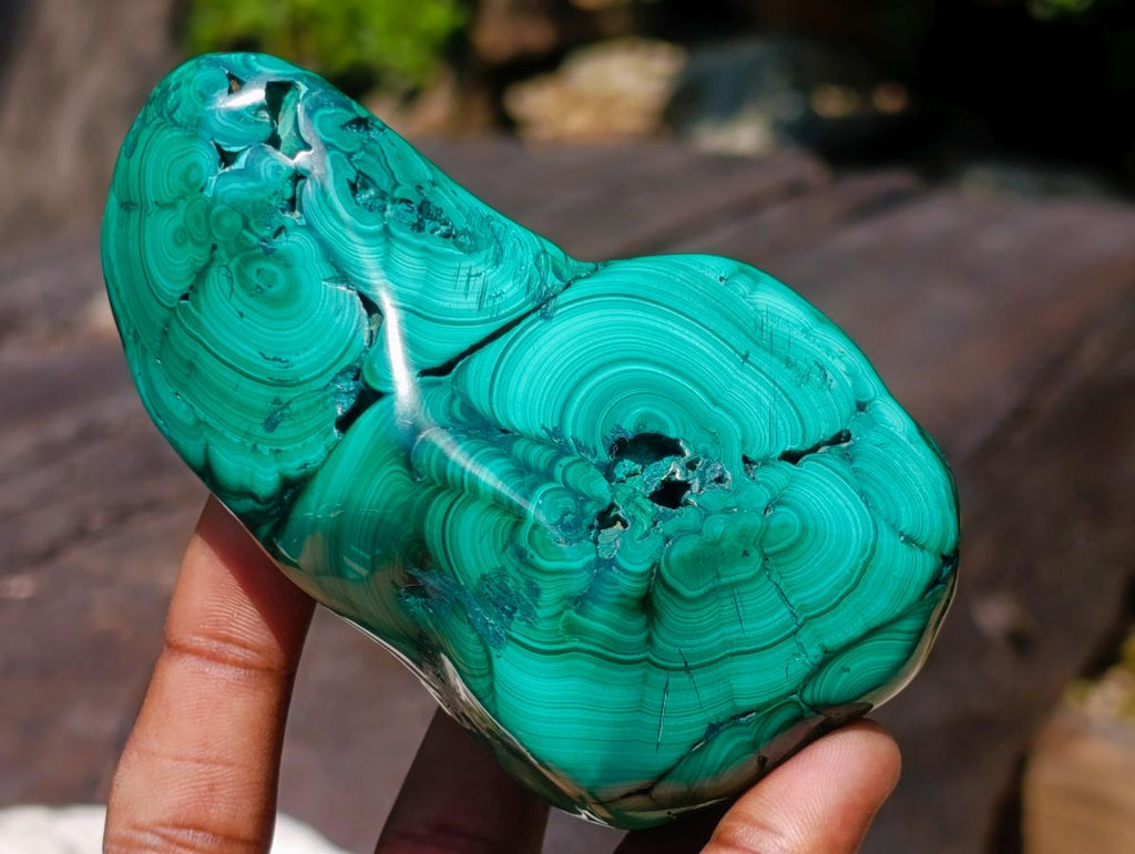 Polished and Natural Flower Banded Malachite Free Forms x 3 From Congo