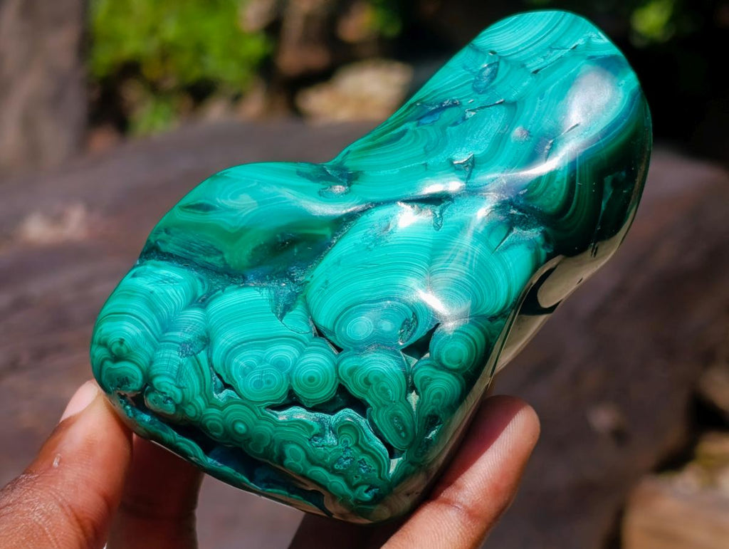 Polished and Natural Flower Banded Malachite Free Forms x 3 From Congo
