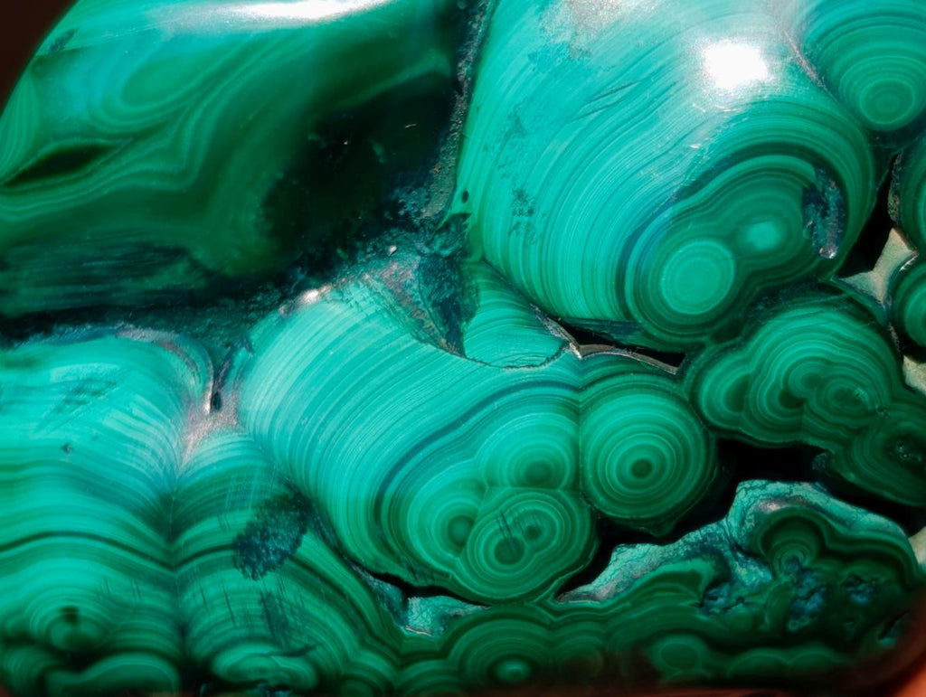 Polished and Natural Flower Banded Malachite Free Forms x 3 From Congo