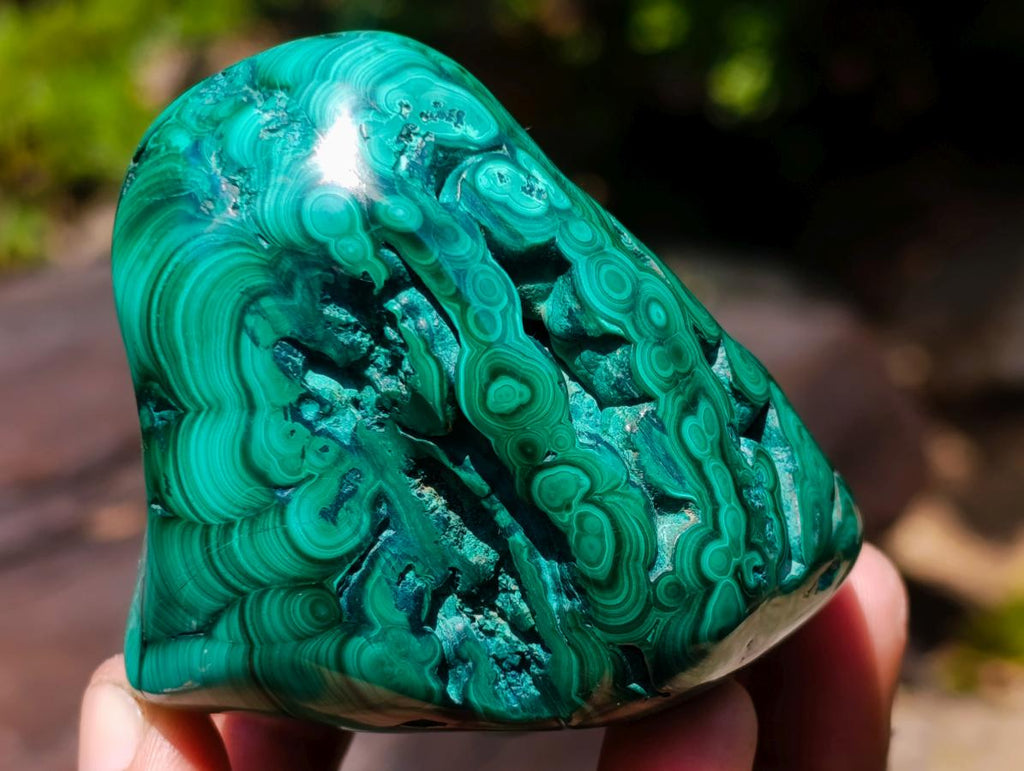 Polished and Natural Flower Banded Malachite Free Forms x 3 From Congo