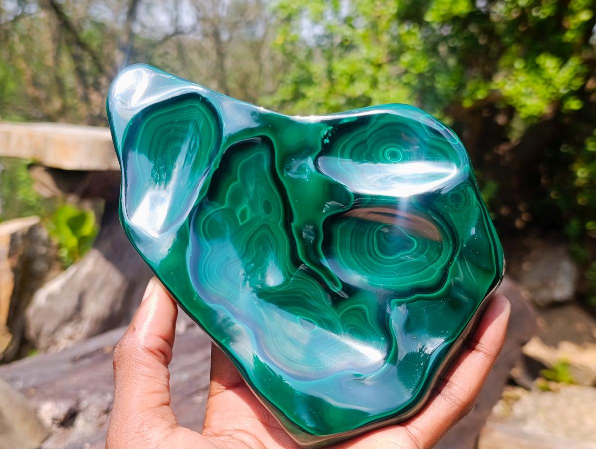 Polished and Natural Flower Banded Malachite Free Forms x 3 From Congo