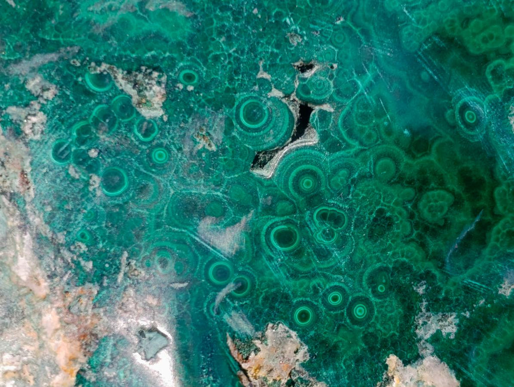 Polished and Natural Flower Banded Malachite Free Forms x 3 From Congo
