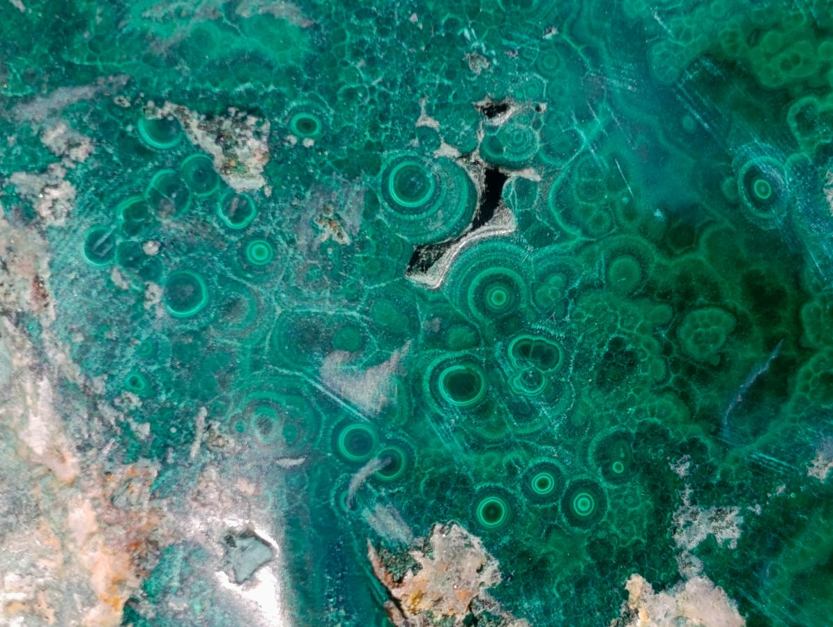 Polished and Natural Flower Banded Malachite Free Forms x 3 From Congo