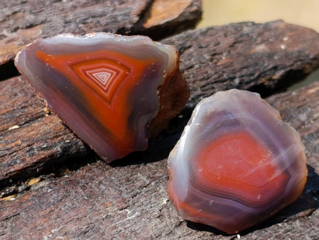 Polished One Side Red Shashe River Agate Nodules x 20 From Shashe River, Zimbabwe