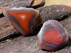 Polished One Side Red Shashe River Agate Nodules x 20 From Shashe River, Zimbabwe