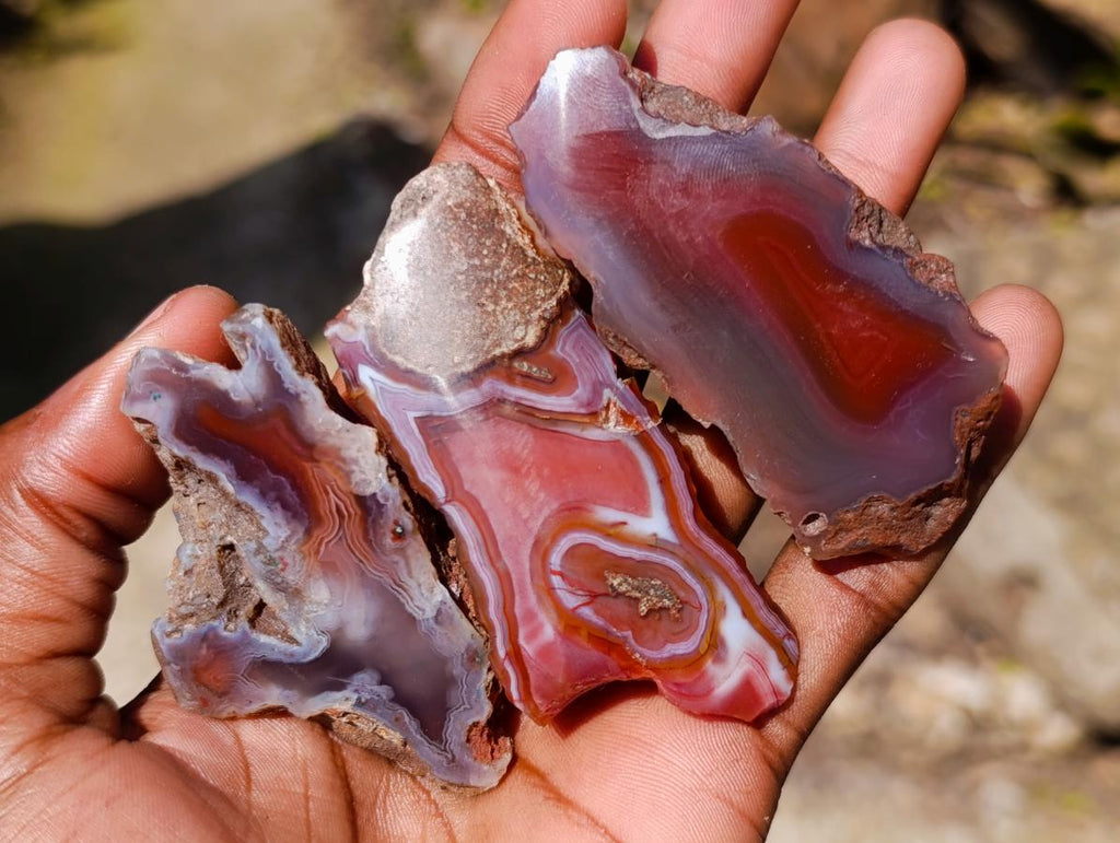 Polished One Side Red Shashe River Agate Nodules x 20 From Shashe River, Zimbabwe