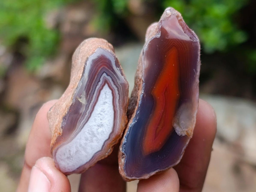 Polished One Side Red Shashe River Agate Nodules x 20 From Shashe River, Zimbabwe