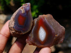 Polished One Side Red Shashe River Agate Nodules x 20 From Shashe River, Zimbabwe