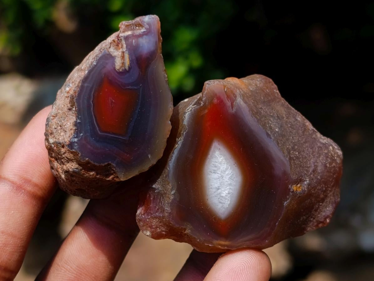Polished One Side Red Shashe River Agate Nodules x 20 From Shashe River, Zimbabwe