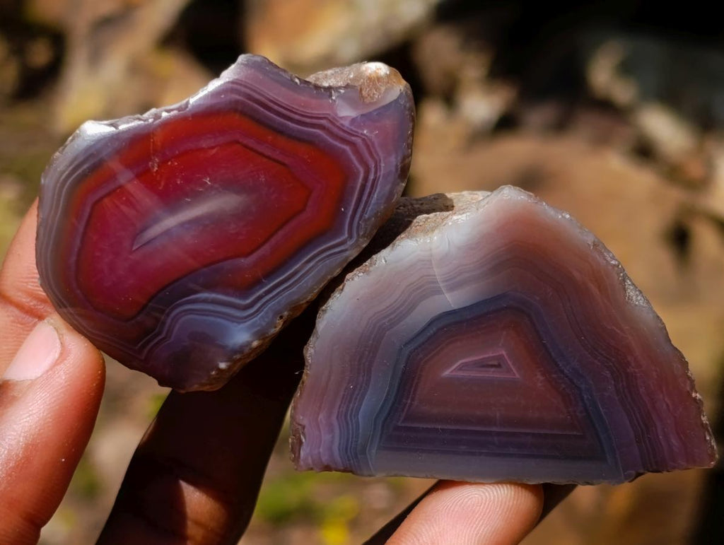 Polished One Side Red Shashe River Agate Nodules x 20 From Shashe River, Zimbabwe