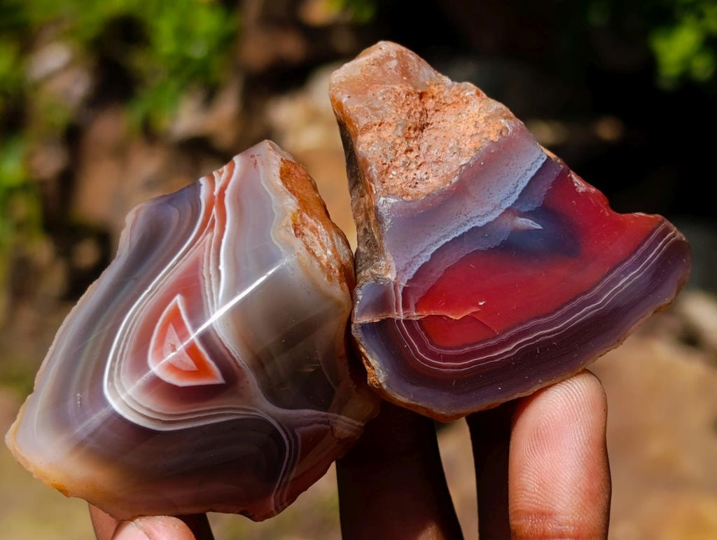 Polished One Side Red Shashe River Agate Nodules x 20 From Shashe River, Zimbabwe