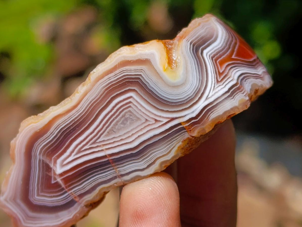 Polished One Side Red Shashe River Agate Nodules x 20 From Shashe River, Zimbabwe