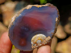 Polished One Side Red Shashe River Agate Nodules x 20 From Shashe River, Zimbabwe