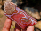 Polished One Side Red Shashe River Agate Nodules x 20 From Shashe River, Zimbabwe