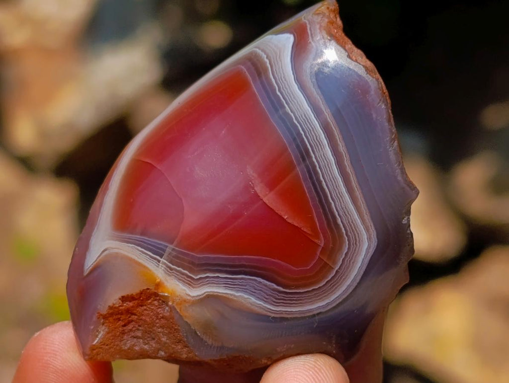 Polished One Side Red Shashe River Agate Nodules x 20 From Shashe River, Zimbabwe