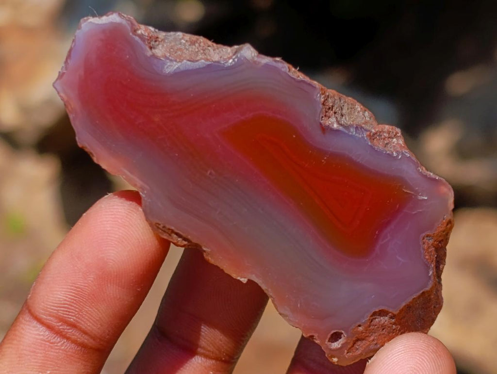 Polished One Side Red Shashe River Agate Nodules x 20 From Shashe River, Zimbabwe