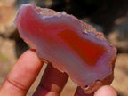Polished One Side Red Shashe River Agate Nodules x 20 From Shashe River, Zimbabwe