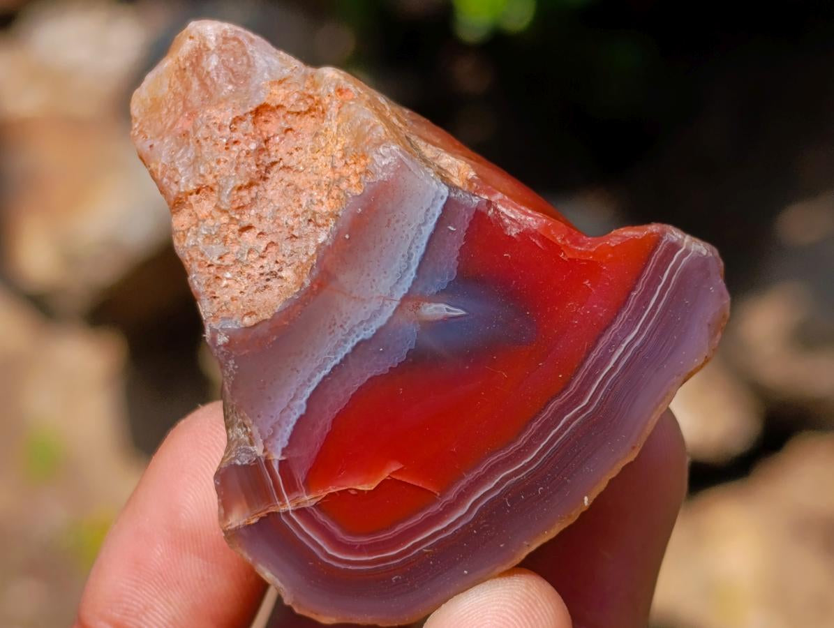 Polished One Side Red Shashe River Agate Nodules x 20 From Shashe River, Zimbabwe
