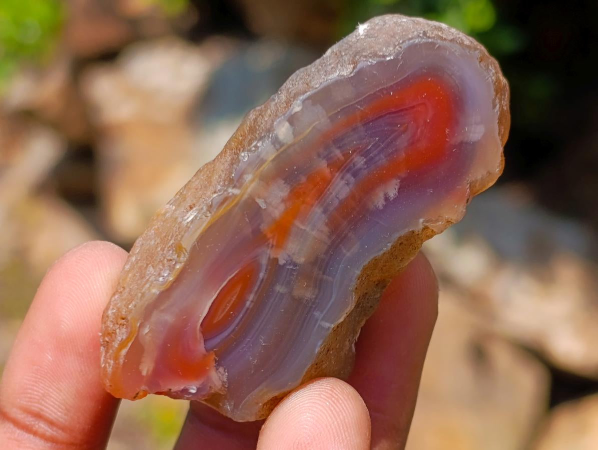 Polished One Side Red Shashe River Agate Nodules x 20 From Shashe River, Zimbabwe